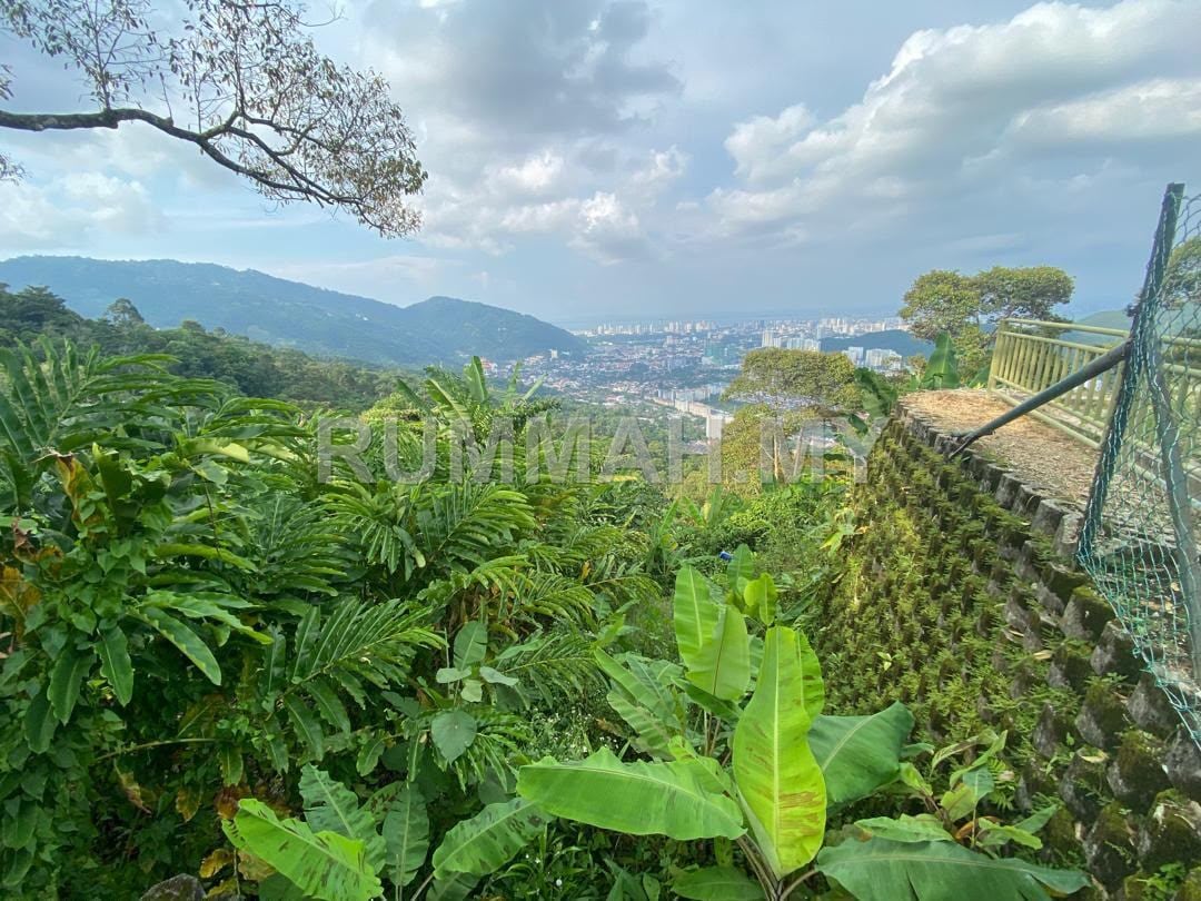 land in Penang Hill, Penang for sale - Penang Hill Agriculture Land with Road Access for Sale