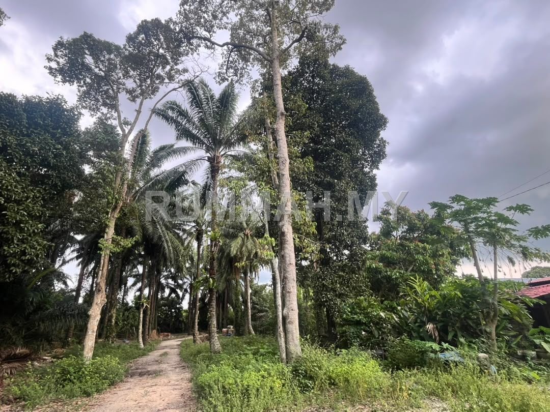 land in Tasek Gelugor, Penang for sale - Tanah Zon Kampung, Kampung Air Melintas Besar, Tasek Gelugor