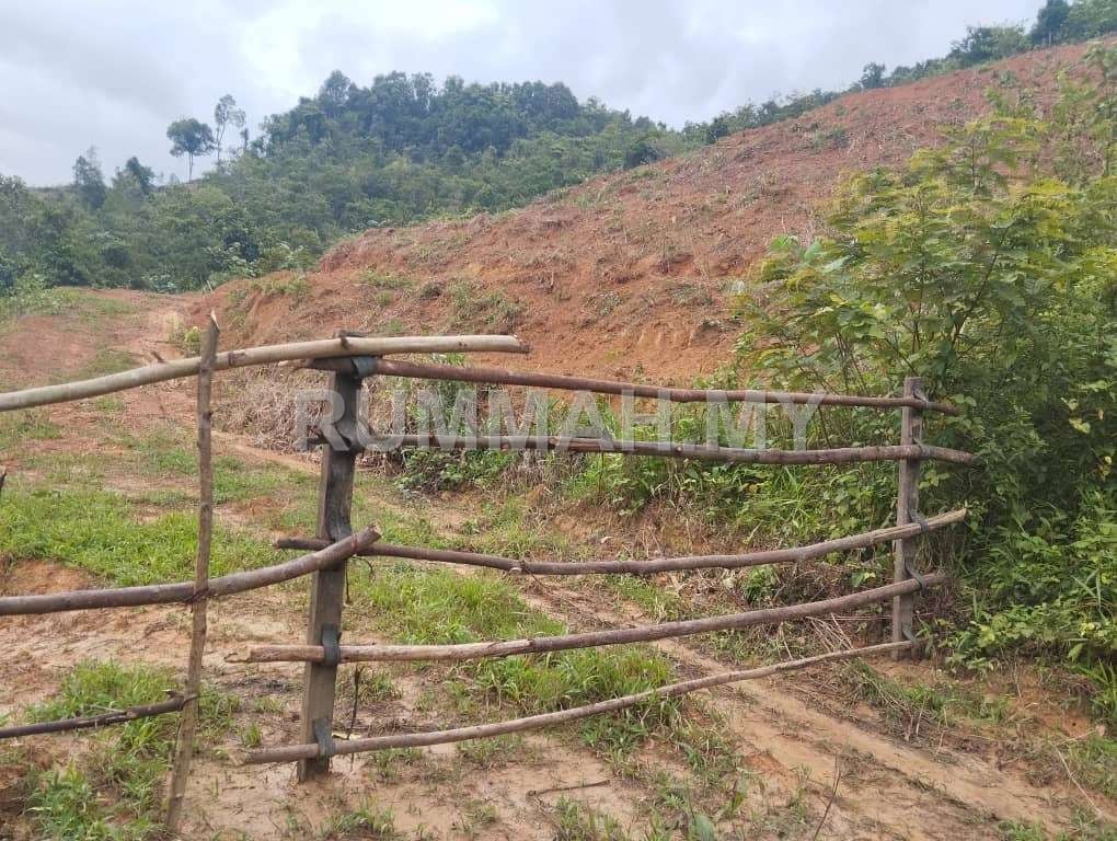 land in Pokok Sena, Kedah for sale - [Tanah Pertanian] Kebun Getah, Telok Datu, Pokok Sena, Kedah