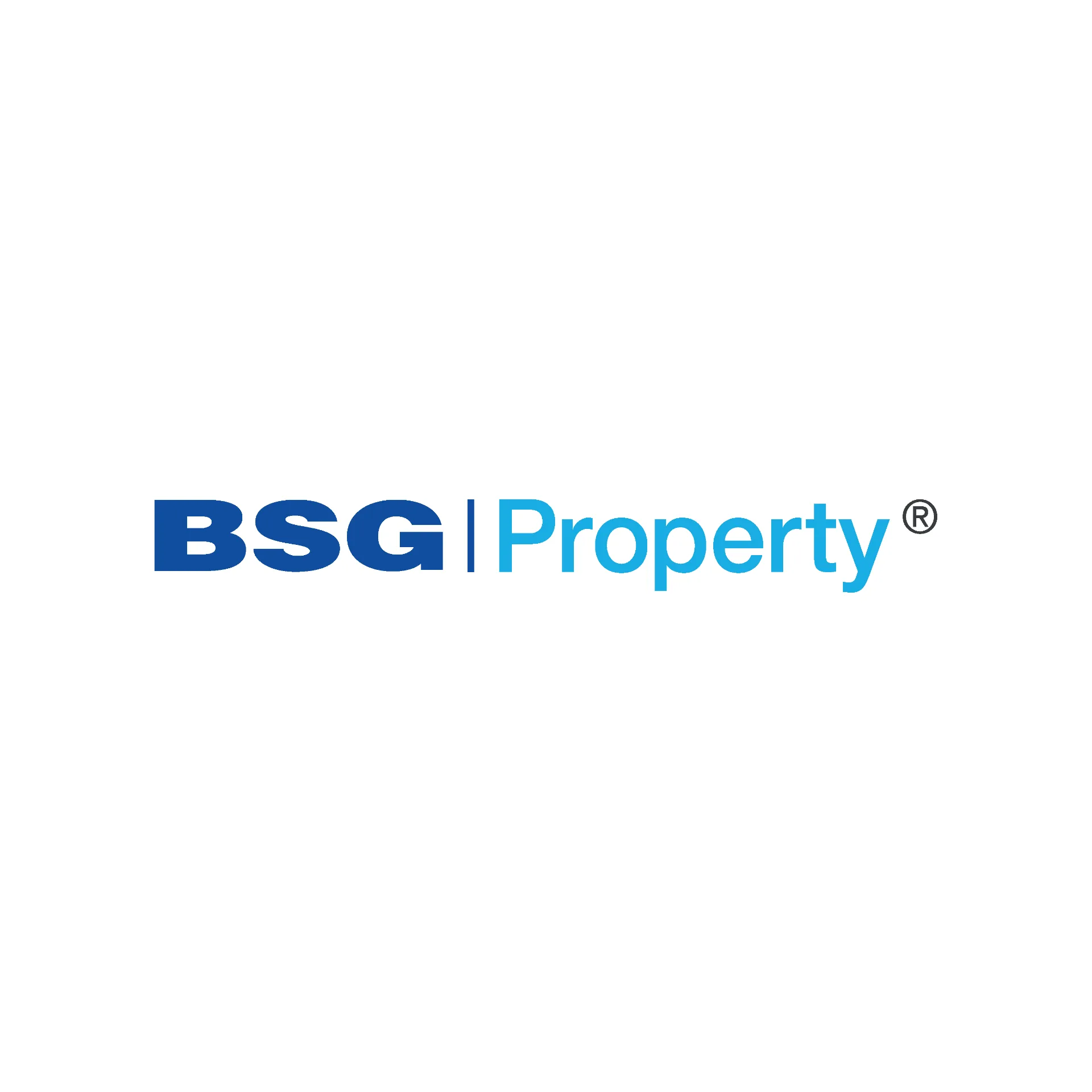 BSG Property